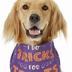a halloween puppy videos for dogs full length4