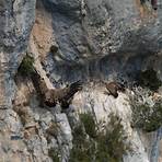 gorges du verdon3