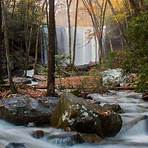 Cucumber Falls Ohiopyle, PA4