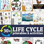 night time define life cycle for kids worksheets2