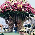 is everland a good theme park in korea english4