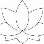 flor de lótus desenho simples5