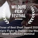 rotterdam wildlife film festival 2020 movies list best movies3