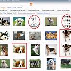 bing images search google images4
