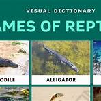 Reptile wikipedia4