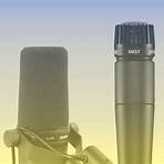 what are the four types of microphones in windows 103