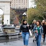 what are the undergraduate colleges in new york4