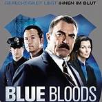 Blue Bloods série de televisão3