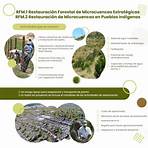 concepto de restauración forestal1