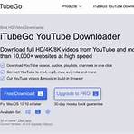 Can ytop1 convert YouTube videos to MP3?4
