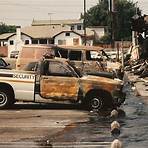 did a not-guilty verdict sparked the '92 los angeles riots 1960s3