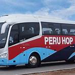 Which bus companies offer international connections into and out of Peru?1