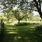 girton college orchards4