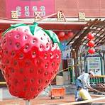 大湖酒莊草莓文化館3