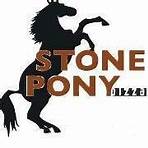 Stone Pony Pizza Clarksdale, MS3