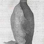 great auk facts4