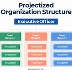 project team structure of organization2