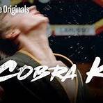 cobra kai tv series watch online3