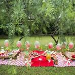 festa picnic infantil5