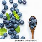 blueberries white background2