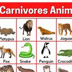 What animals are in the zoo?3