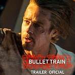 Bullet Train4