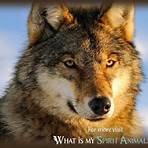 Wolf Totem4