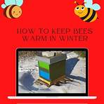 keeping the bees warm3