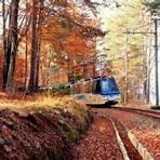 treno foliage piemonte2