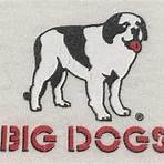 big dog sportswear closing4