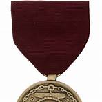 Navy Distinguished Service Medal wikipedia4