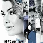 grey's anatomy 17 temporada dublado super flix2