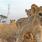 Serengeti série de televisão2