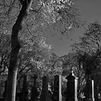 Zentralfriedhof wikipedia2