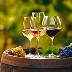 julianne hough wine review2