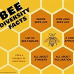 interesting facts about bees2