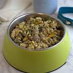 how to make homemade beef stew for dogs with dry1