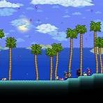 What are the different types of multiplayer environments in terraria?4