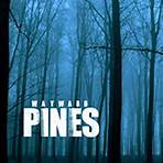 Wayward Pines1