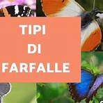 nomi farfalle in italiano1