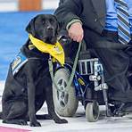 Can a service dog be trained with a handler?2