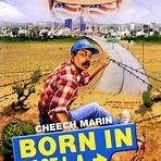 born in east l.a. movie review4