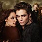 what is the name of twilight's fourth movie of revelation 2 62