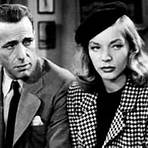 the big sleep1