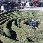 labirinto verde rs1