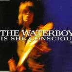 the waterboys discography4