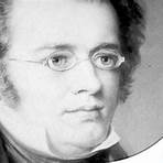 How did Schubert Die?2