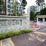 springdale condominium singapore2