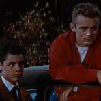 Rebel Without a Cause filme3