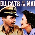 Hellcats of the Navy4